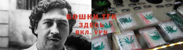 дживик Богданович