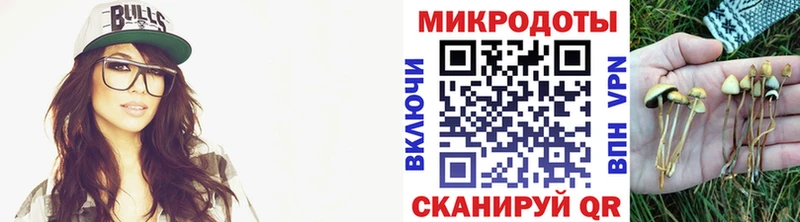 OMG ссылки  как найти закладки  Мезень  Псилоцибиновые грибы мухоморы 