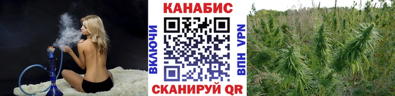 купить наркотики цена  Мезень  Каннабис SATIVA & INDICA 